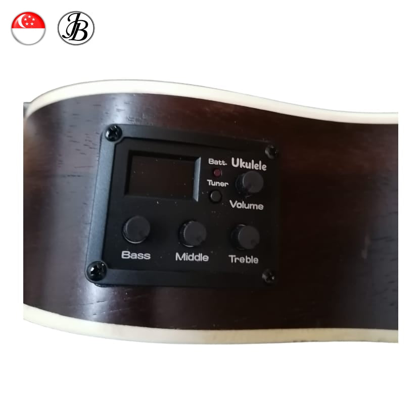 Jerubbaal UK350 Solid Rosewood Concert Ukulele with preamp (batteries included)