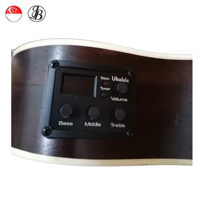 Jerubbaal UK350 Solid Rosewood Concert Ukulele with preamp (batteries included)