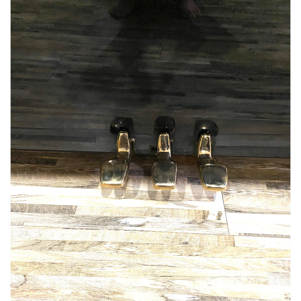 Premium Yamaha U1 Piano Handpicked AAAAA Top Quality (100% Made in Japan & Refurbished in Japan)