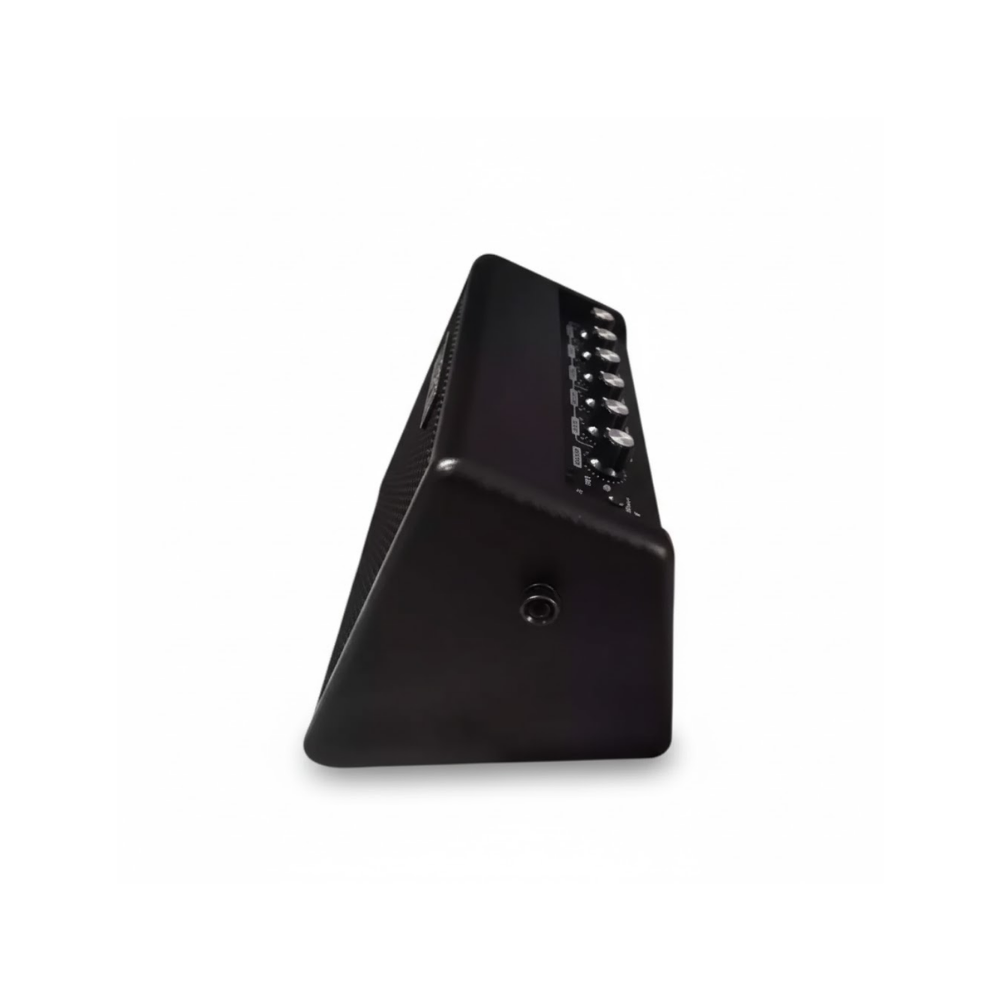 Aroma AG-15A 15W Portable Acoustic Guitar Rechargeable Amplifier USB Chargeable